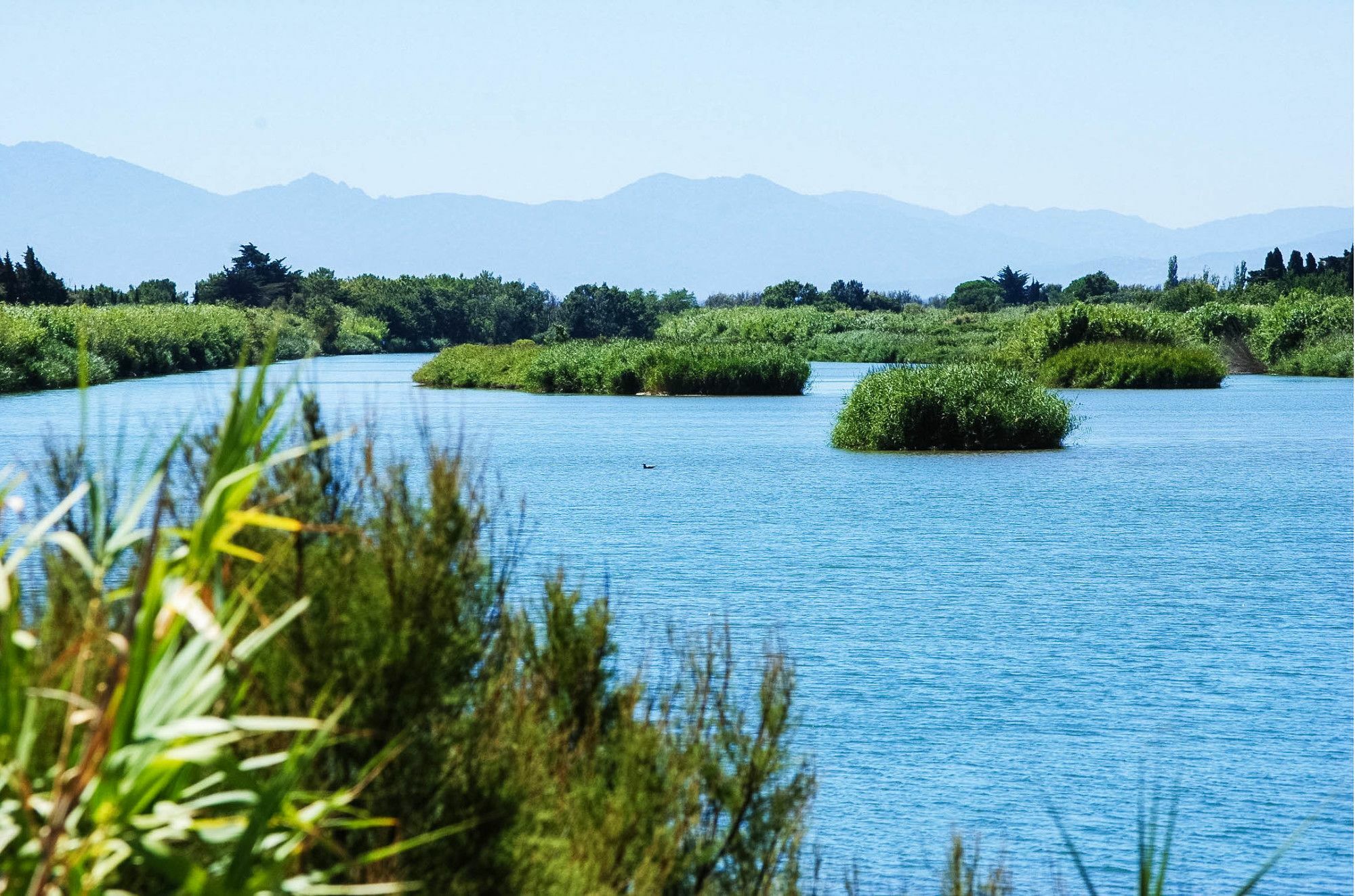 Ibis Styles Perpignan Canet En Roussillon Kültér fotó